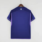 Argentina World Cup Soccer Shirt 2023, Argentina Away 3 Star Football Jersey