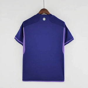 Argentina World Cup Soccer Shirt 2023, Argentina Away 3 Star Football Jersey